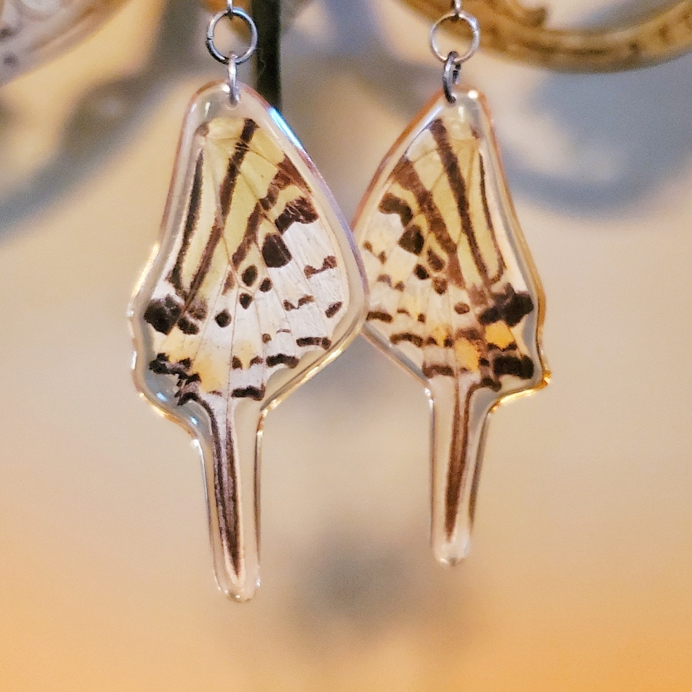 Vintage Real Butterfly Wing Earrings - Picture 4 of 5